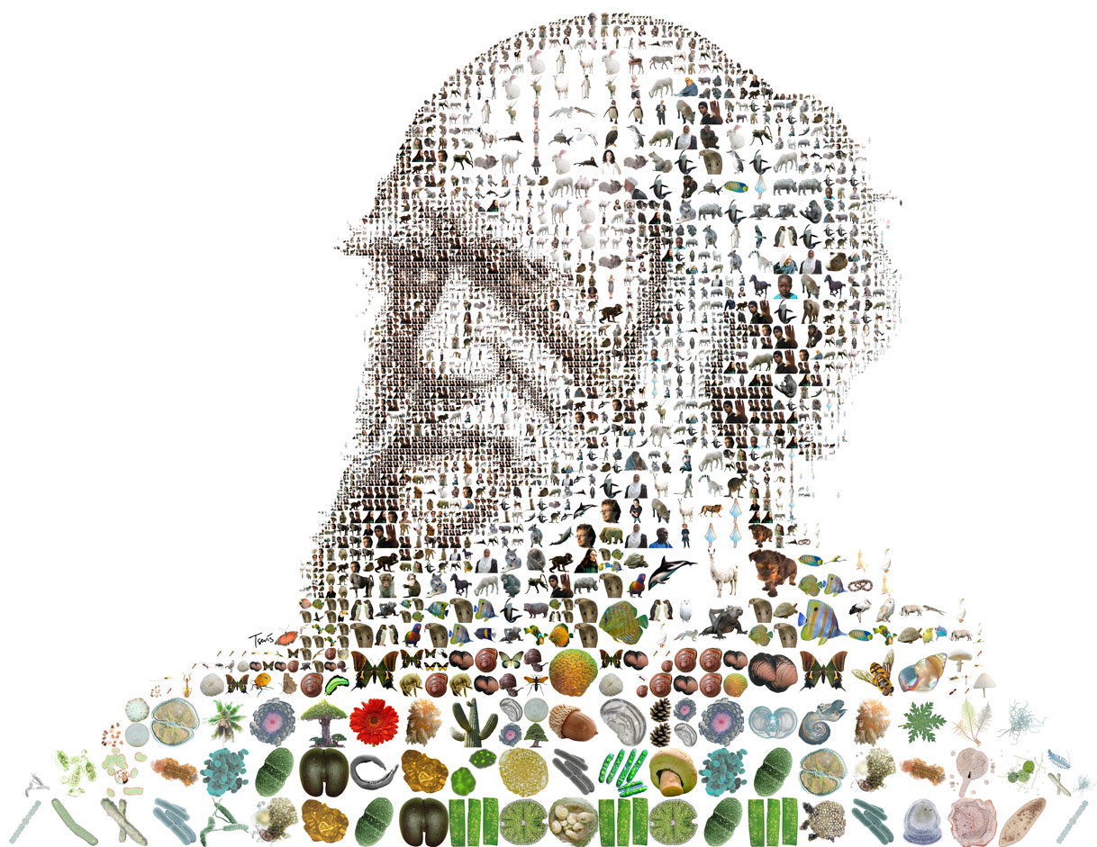 course_image