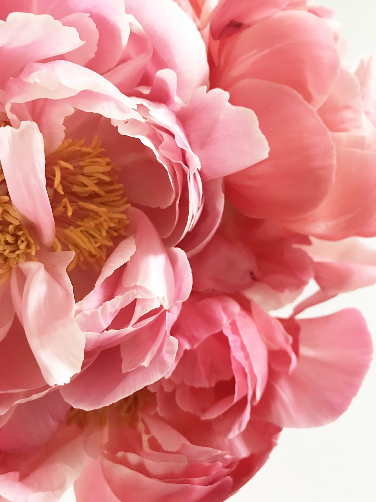 course_image