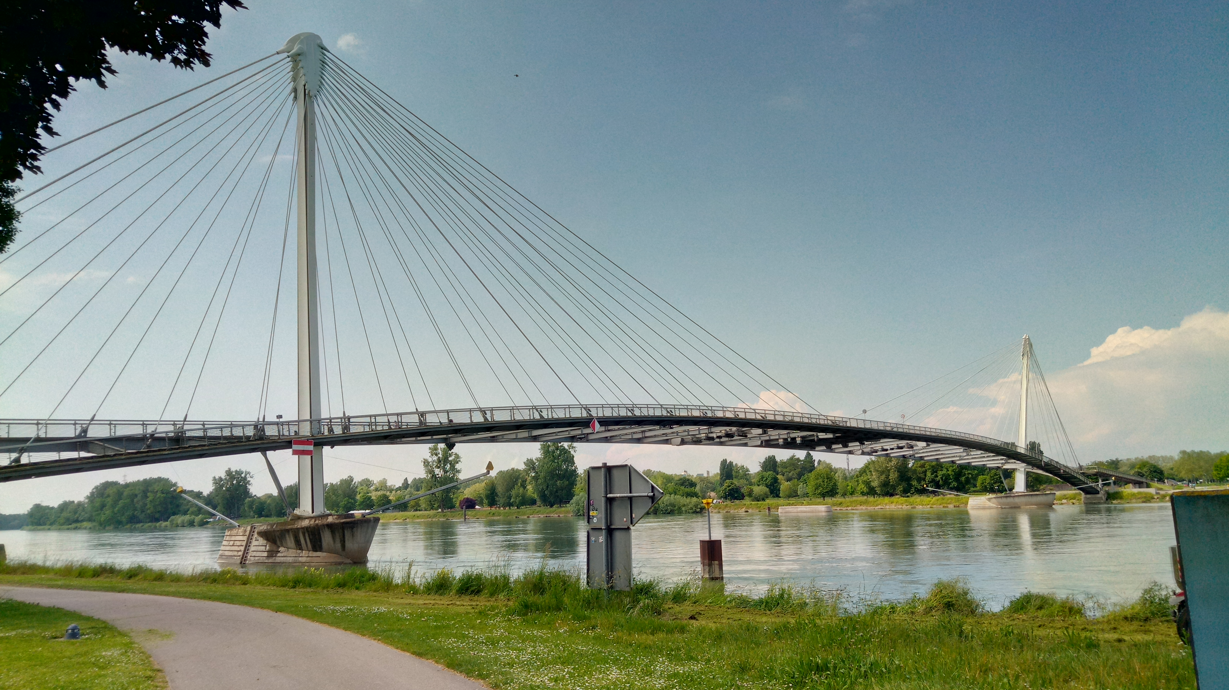 course_image