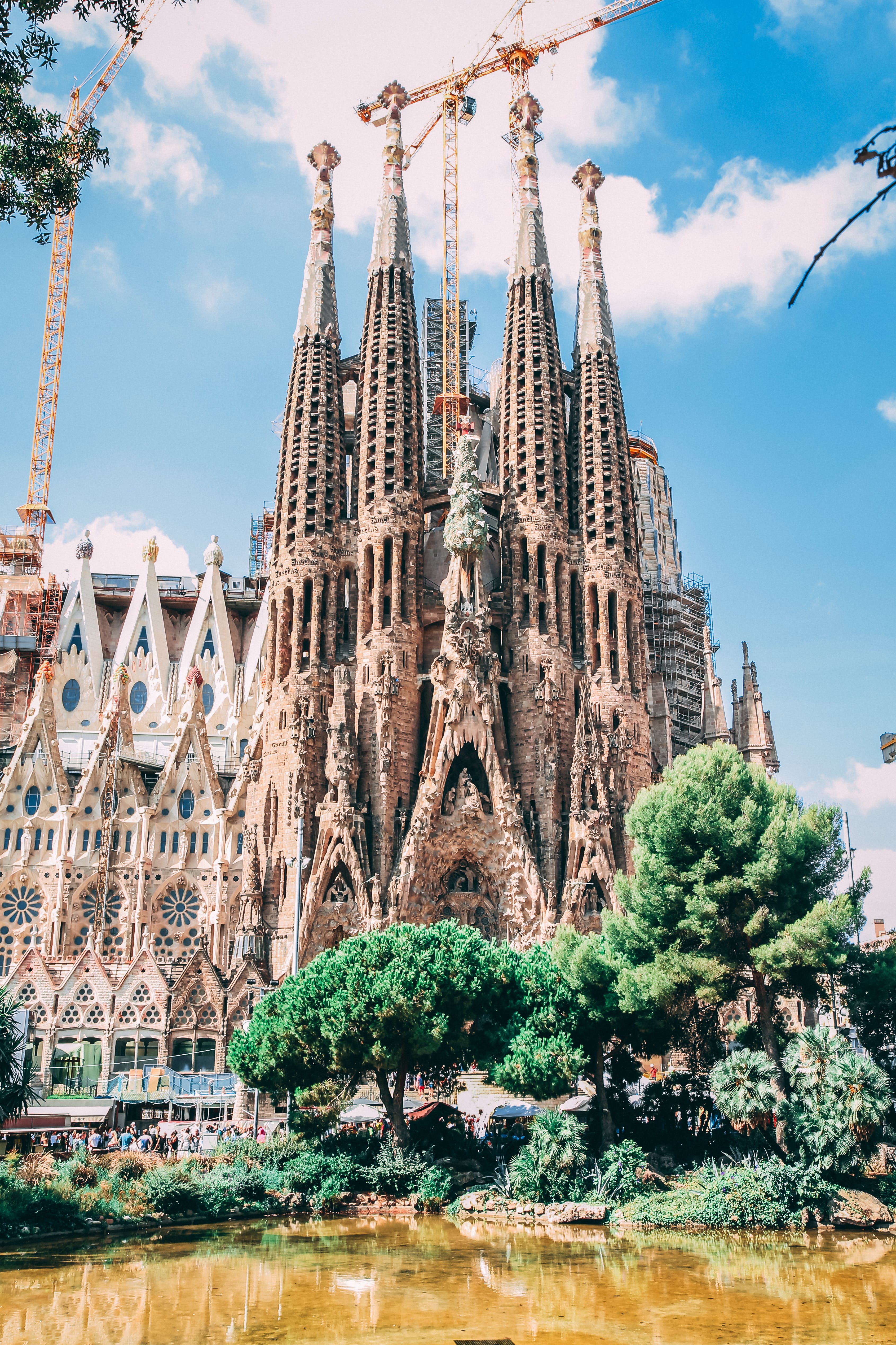 course_image