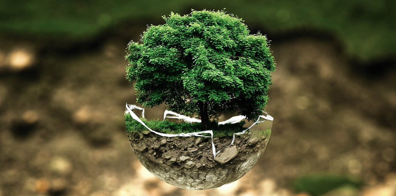 course_image